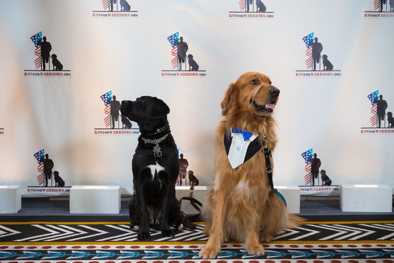 Corporate gala event coverage by DC Events Inc.